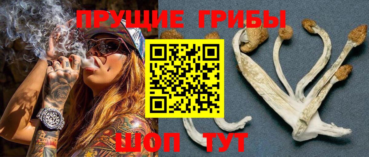 Псилоцибиновые грибы GOLDEN TEACHER Нарьян-Мар