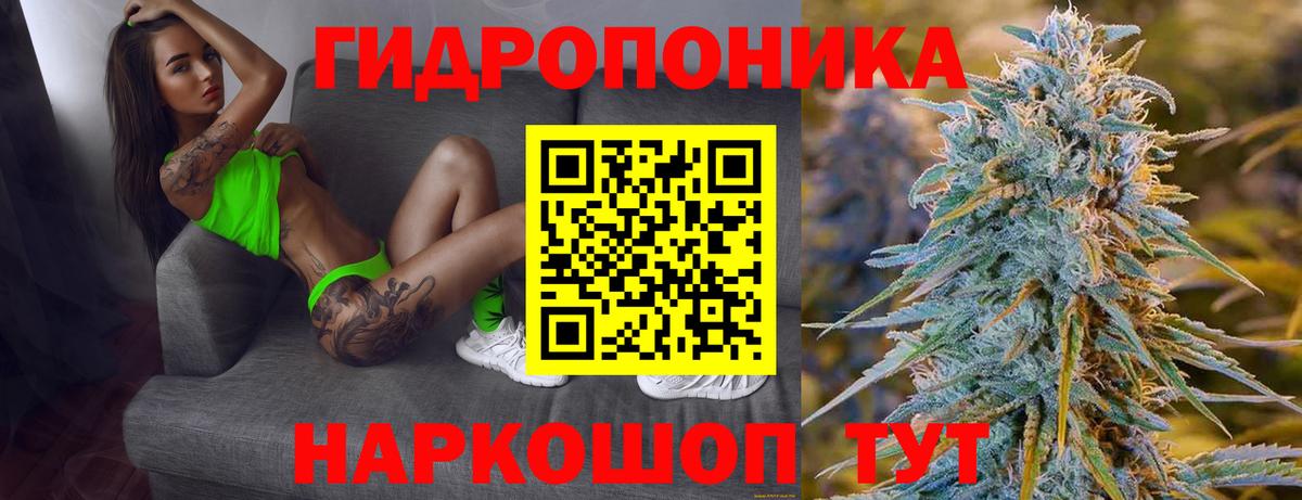 МАРИХУАНА сатива Нарьян-Мар